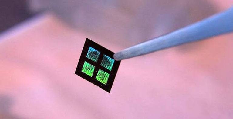 В создании искусственной почки на микрочипах достигнут прогресс