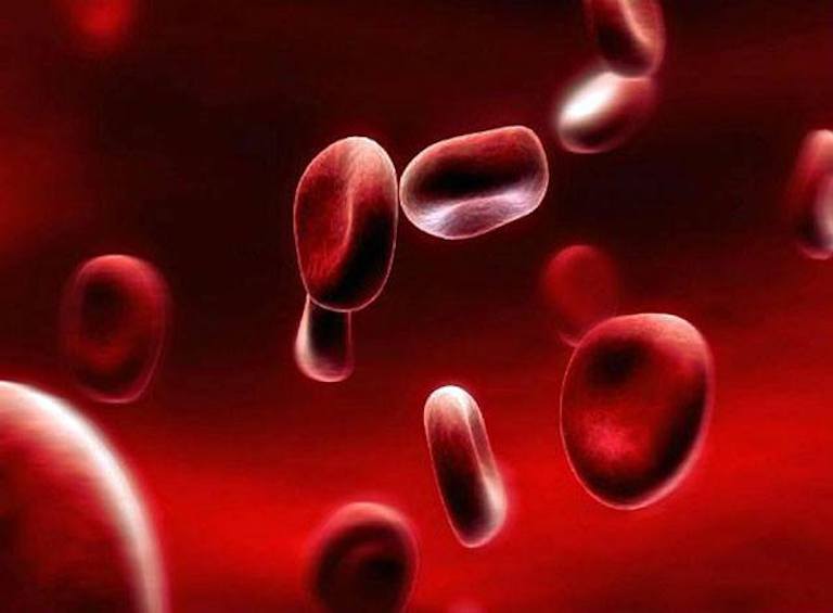 Ученые создали искусственную кровь