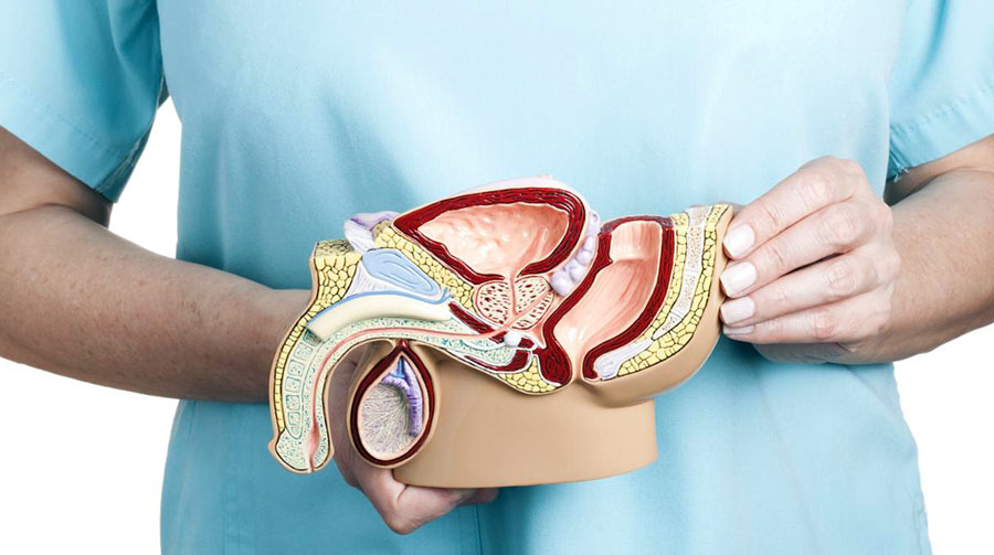 Уретропластика: удалить или заместить?  Первичный анастомоз или трансплантация слизистой щеки у пациентов со стриктурой уретры